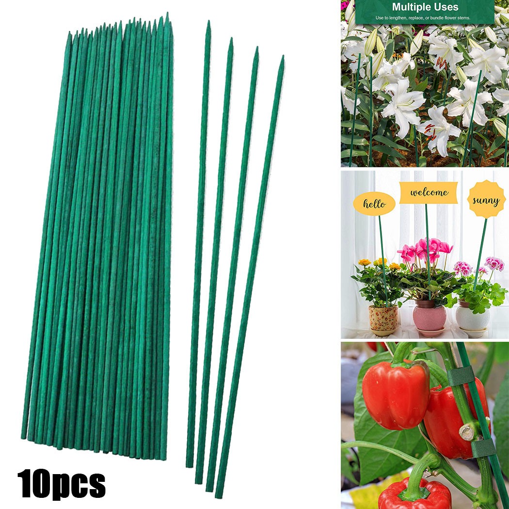 Florist Supp - 10 stücke 40cm Grüne Pflanze Unterstützung