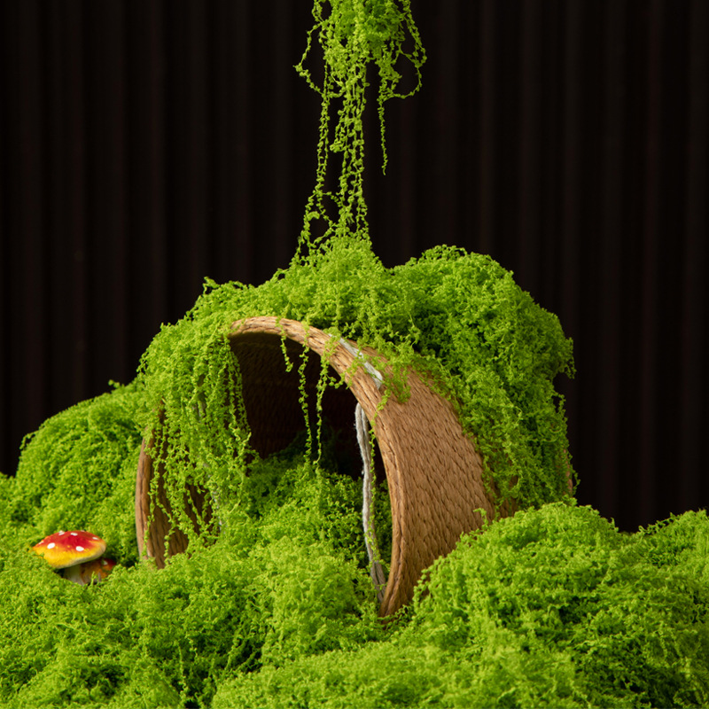 Preserved Moss Sheet - 200g Ewiges Leben Moos DIY Bastelbedarf