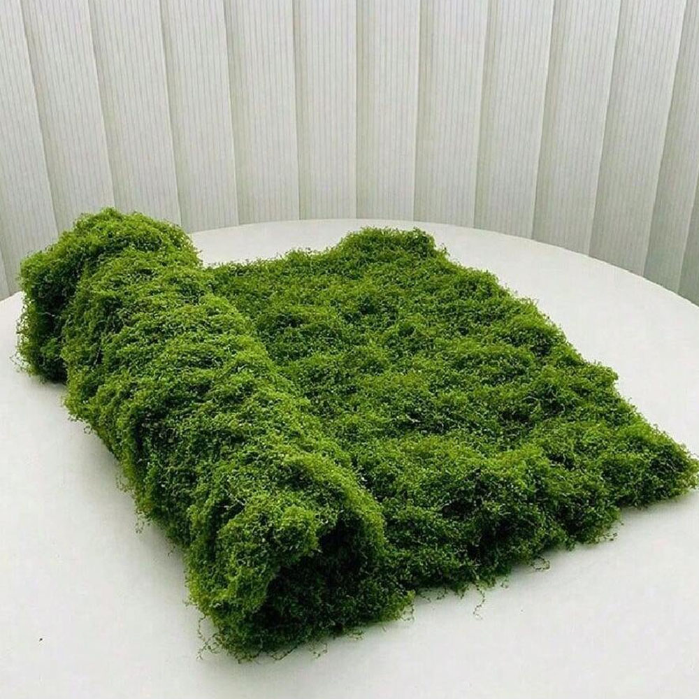 Preserved Moss Sheet - 1*1m Gefälschte Moos DIY Handwerk Gras