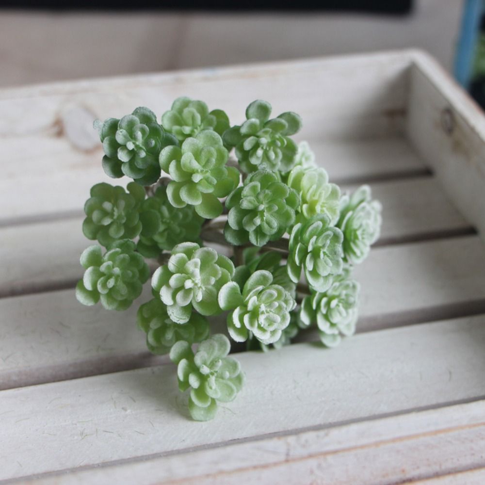 Preserved Moss Sheet - 24-köpfe Mini-künstliche Kaktuspflanze aus Kunststoff, realistische