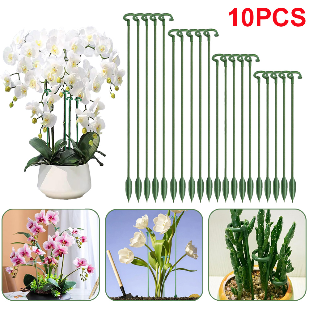 Florist Supp - 5/10 Stück Pflanzenstützstäbe, Blumentopf-Befestigungshalter für Orchideen,