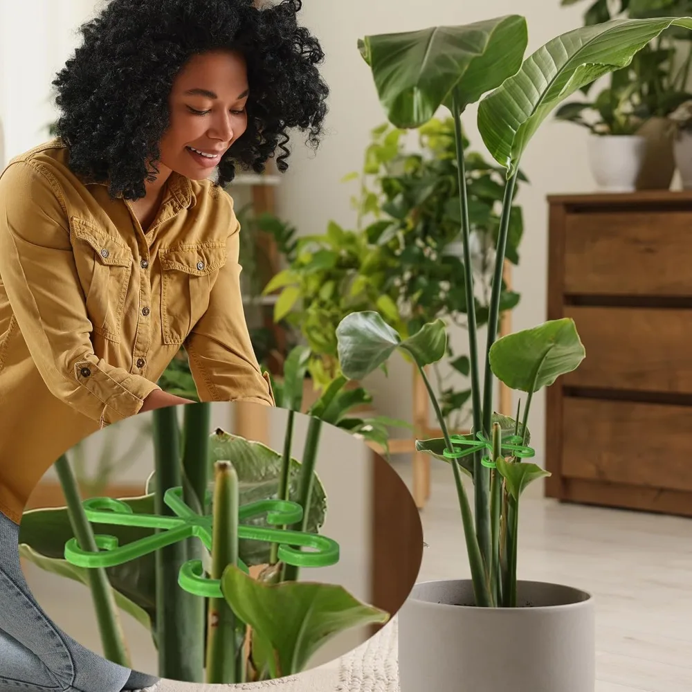 Blume Pflanze Stem Unterstützu – Florist Supp Bewertung und Preis