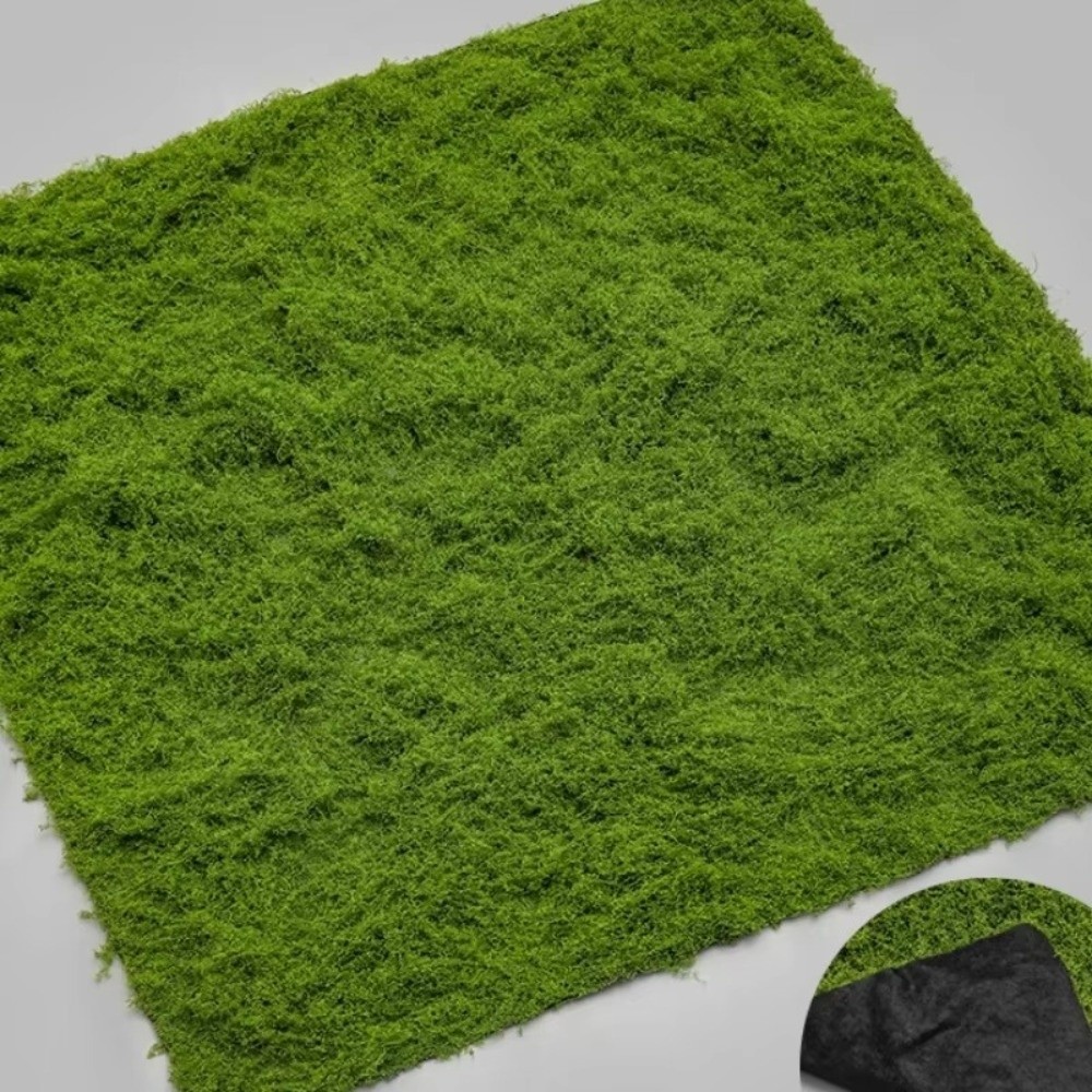 DIY Kunstrasen-Teppich Langleb – Preserved Moss Sheet Bewertung und Preis