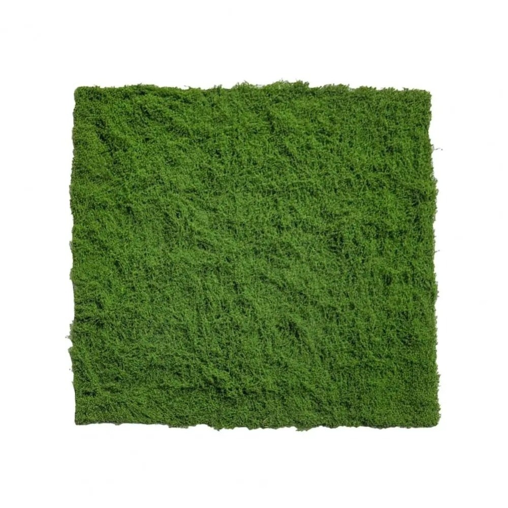DIY Kunstrasen-Teppich Langleb – Preserved Moss Sheet Bewertung und Preis