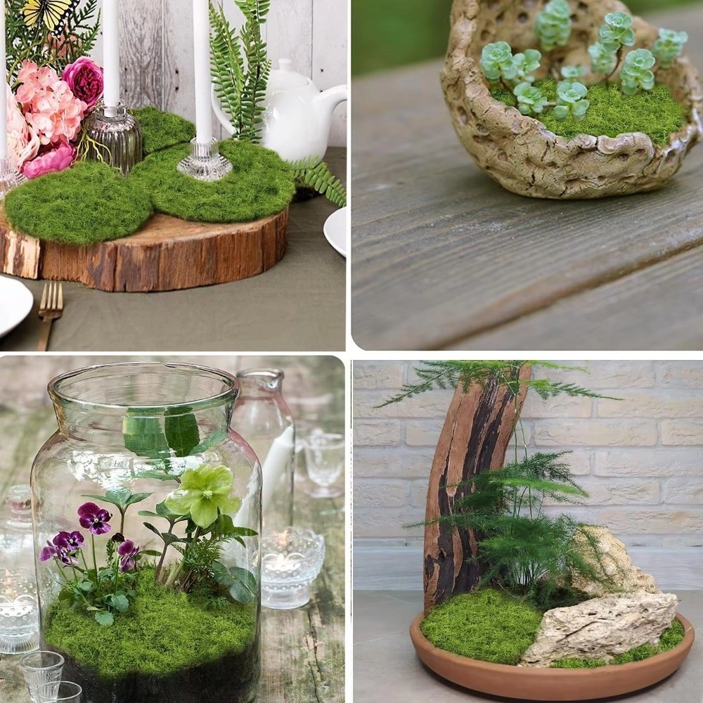 DIY Kunstrasen-Teppich Langleb – Preserved Moss Sheet Bewertung und Preis
