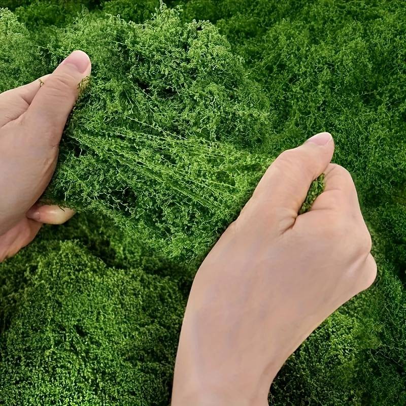 6 x 6 Meter Künstliche Moosmat – Preserved Moss Sheet Bewertung und Preis