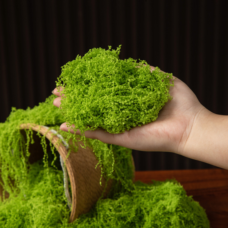 200g Ewiges Leben Moos DIY Bas – Preserved Moss Sheet Bewertung und Preis