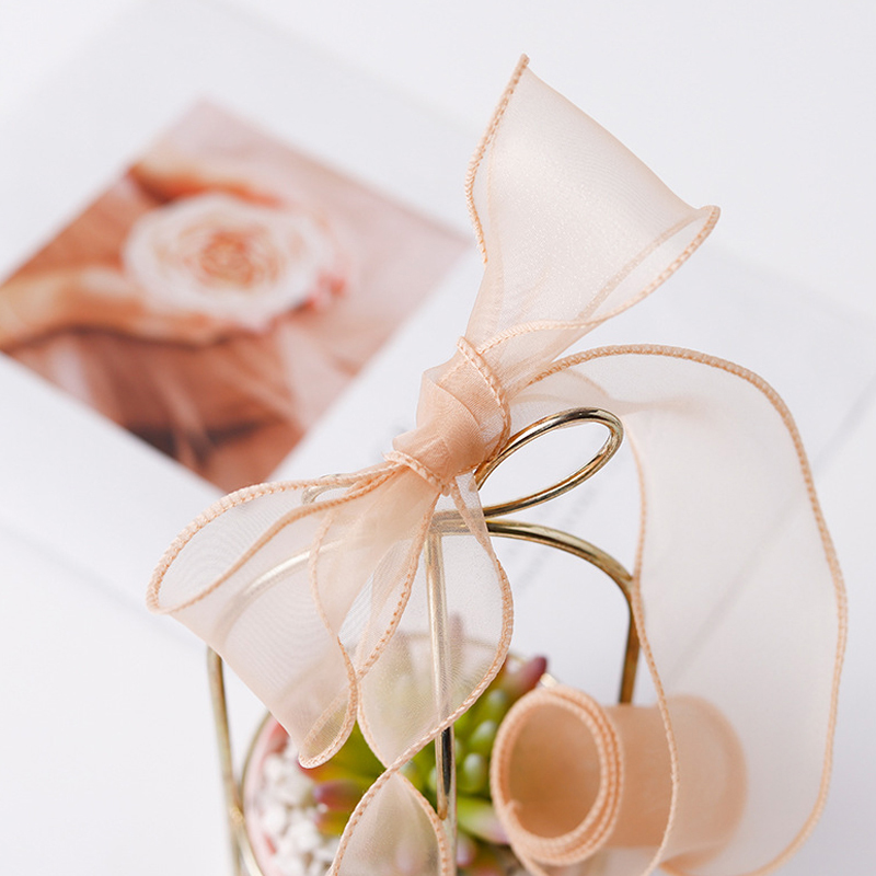 9Meter/Rolle transparente Seid – Ribbon Organza Roll Bewertung und Preis