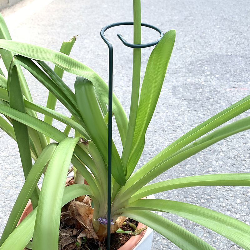 1-10 stücke Metall Einzigen St – Florist Supp Bewertung und Preis