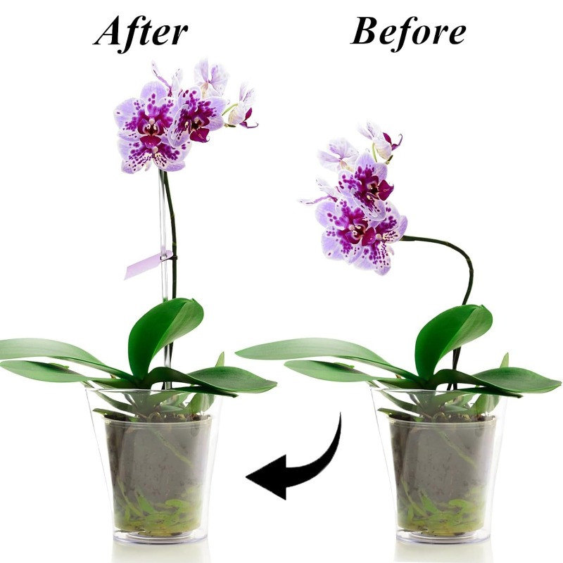 Wiederverwendbare Transparente – Florist Supp Bewertung und Preis