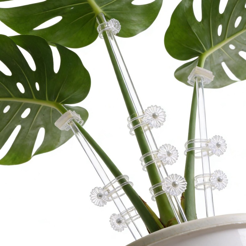 Wiederverwendbare Transparente – Florist Supp Bewertung und Preis