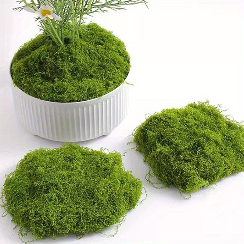 Grünes künstliches Moos, DIY-H – Preserved Moss Sheet Bewertung und Preis