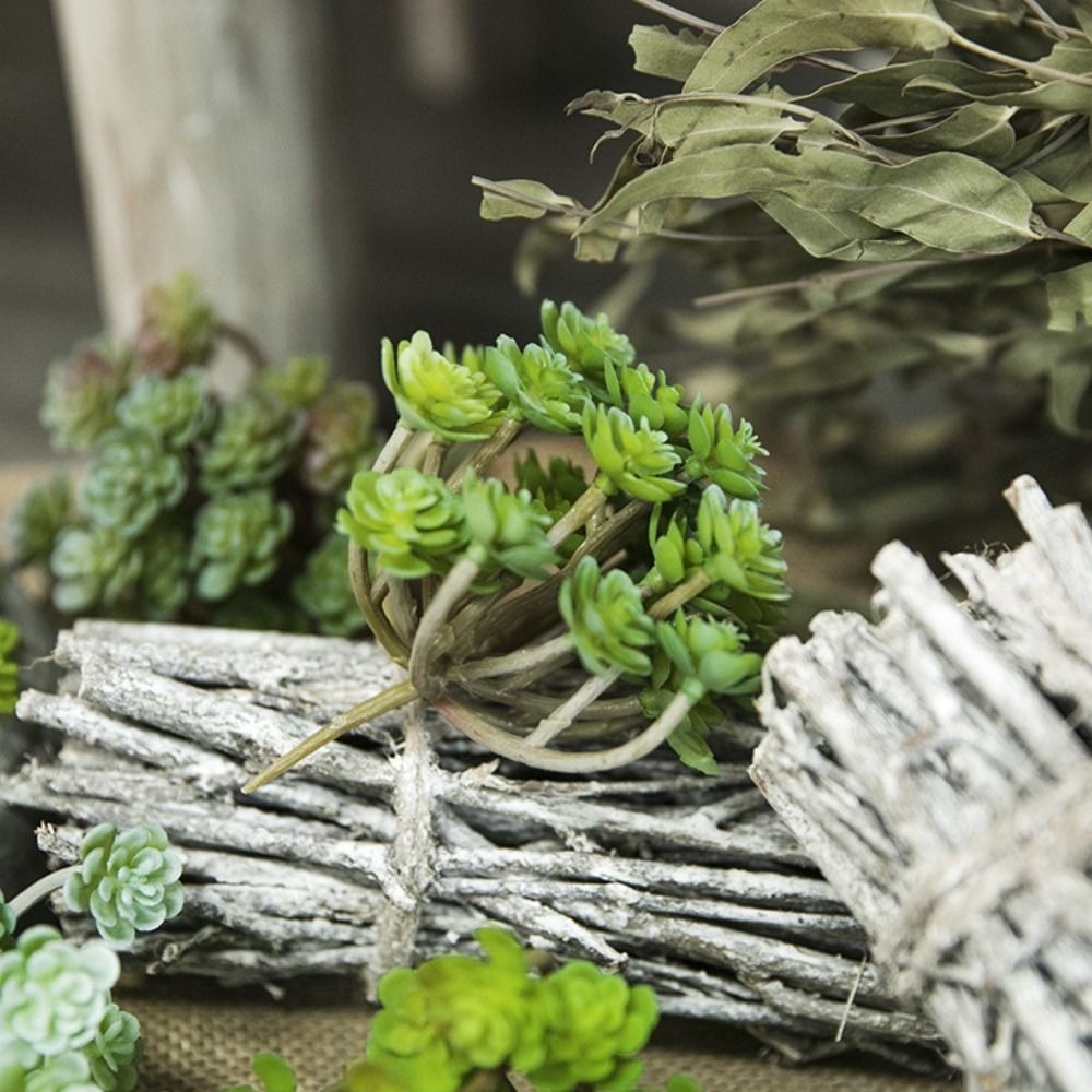 24-köpfe Mini-künstliche Kaktu – Preserved Moss Sheet Bewertung und Preis