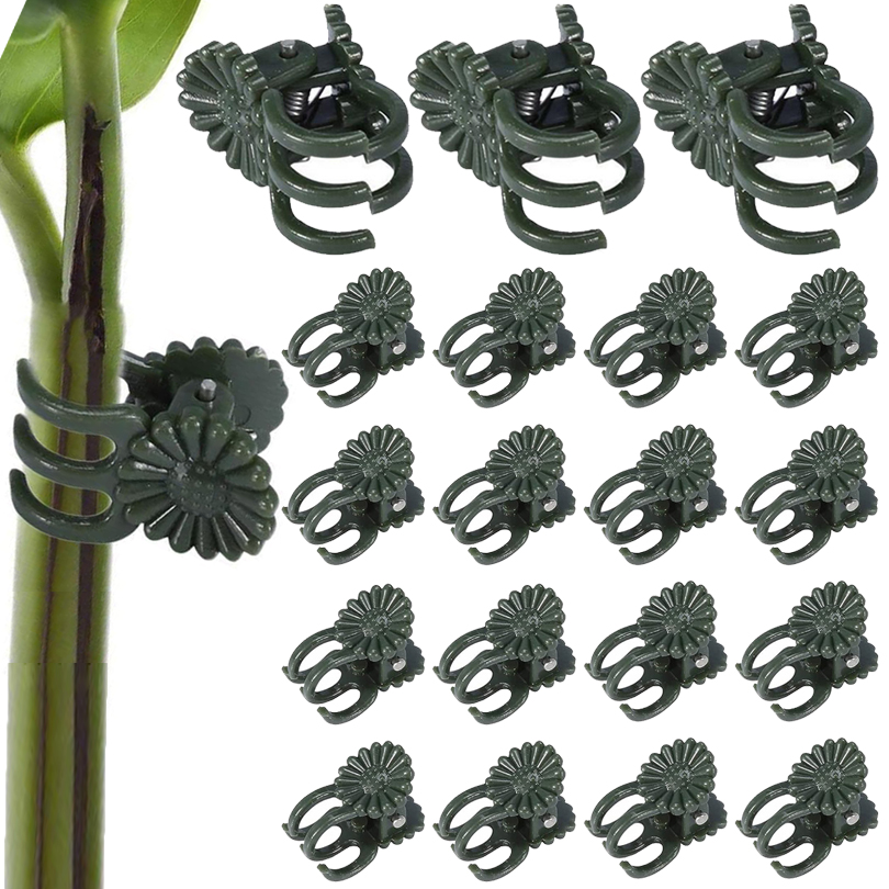 20/50/100pcs Pflanzen clips Re – Florist Supp Bewertung und Preis