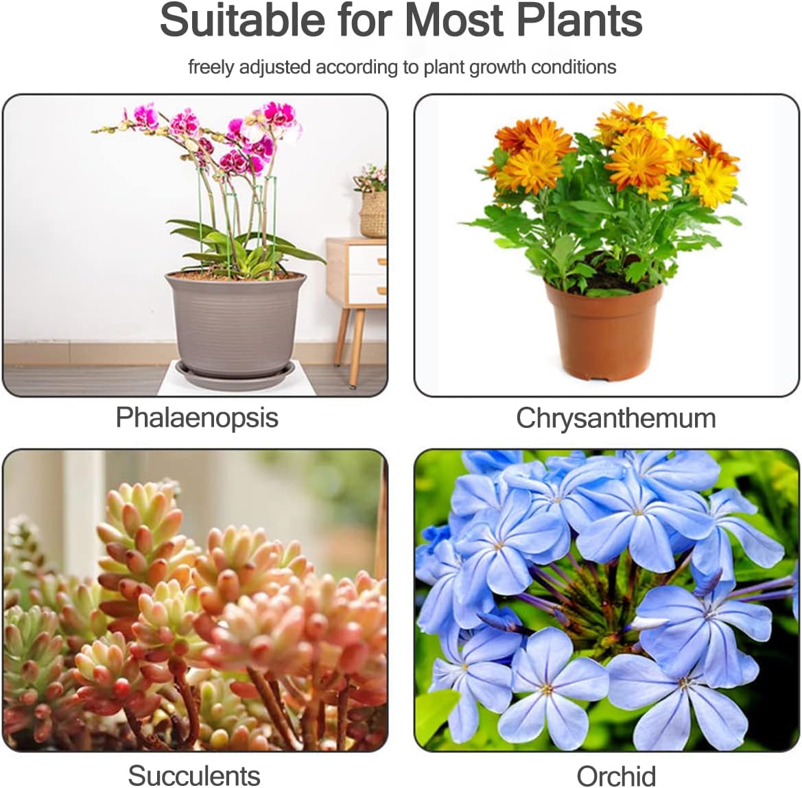 5/10 Stück Pflanzenstützstäbe, – Florist Supp Bewertung und Preis