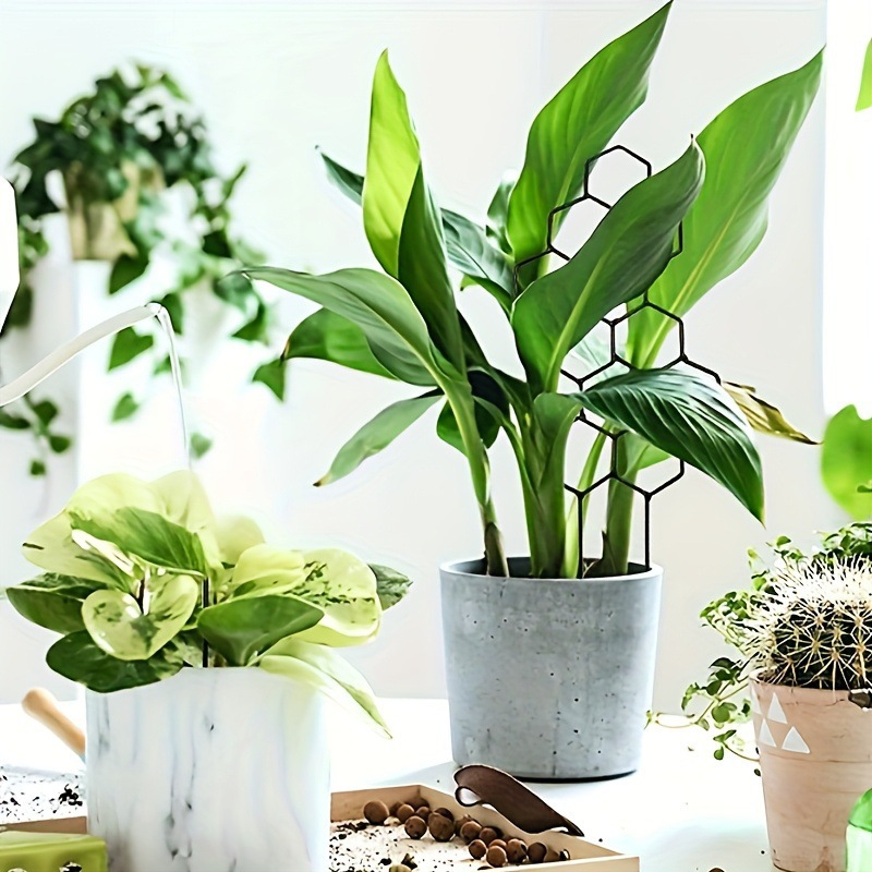 1 Stück Pflanzengestell im Wab – Florist Supp Bewertung und Preis